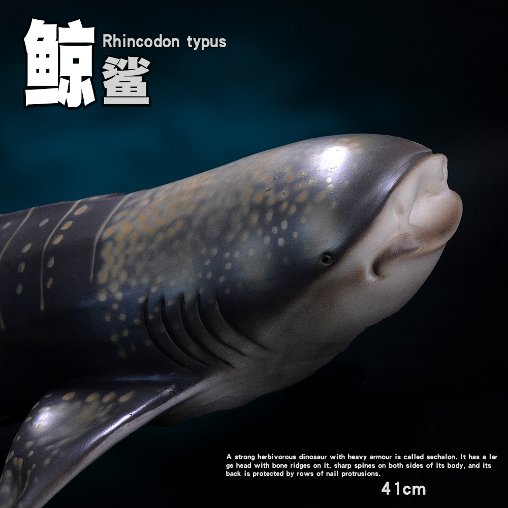 软胶仿真鲸鲨模型玩具大号