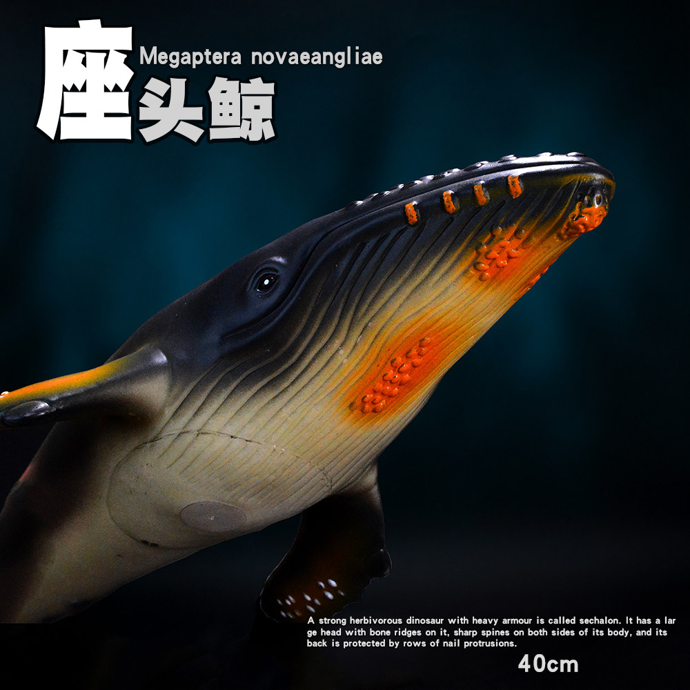 仿真大号软胶海洋生物模型 动物模型玩具 座头鲸 鲸鱼模型