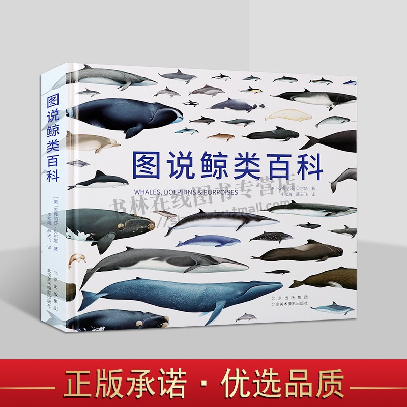 图说鲸类百科起源演化觅食繁殖生长分布分类名录鲸类研究关于鲸类动物的科普读物百科全书读物书籍 北京美术摄影出版社