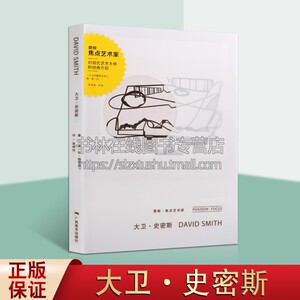 大卫.史密斯-费顿.焦点艺术家琼帕奇纳 艺术评论 广西美术出版社