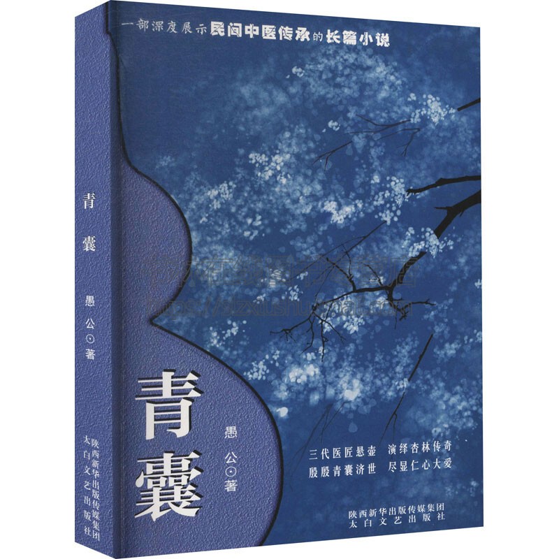 青囊秦岭南麓庙沟徐长卿辩识中草药所授医术治病疗伤郎中改革开放新时代中医传人经济发展新时代民间中医传承的长篇小说愚公 著