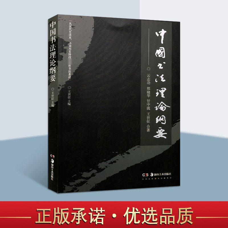 中国书法理论纲要书法文化与素质教育书法功用地位本体特质创作规律鉴赏标准技法原理中国古代书法理论史体系解读考研参考书籍