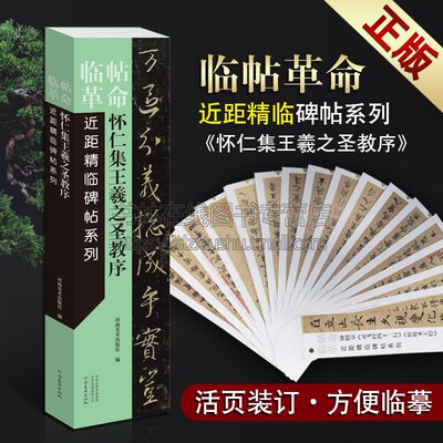 怀仁集王羲之圣教序字卡碑文行书临摹字帖 近距精临碑帖 临帖革命 中国古代著名书法碑帖字帖技法临摹魏碑鉴赏书籍正版 河南美术