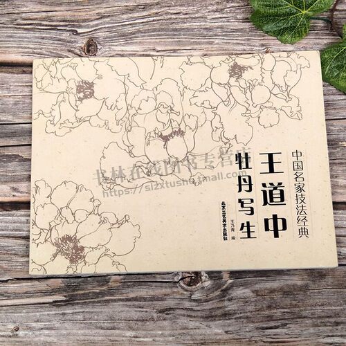 王道中牡丹写生 中国名家技法经典 绘画 传统艺术形式 花鸟画 写生技法技巧 北京工艺美术出版