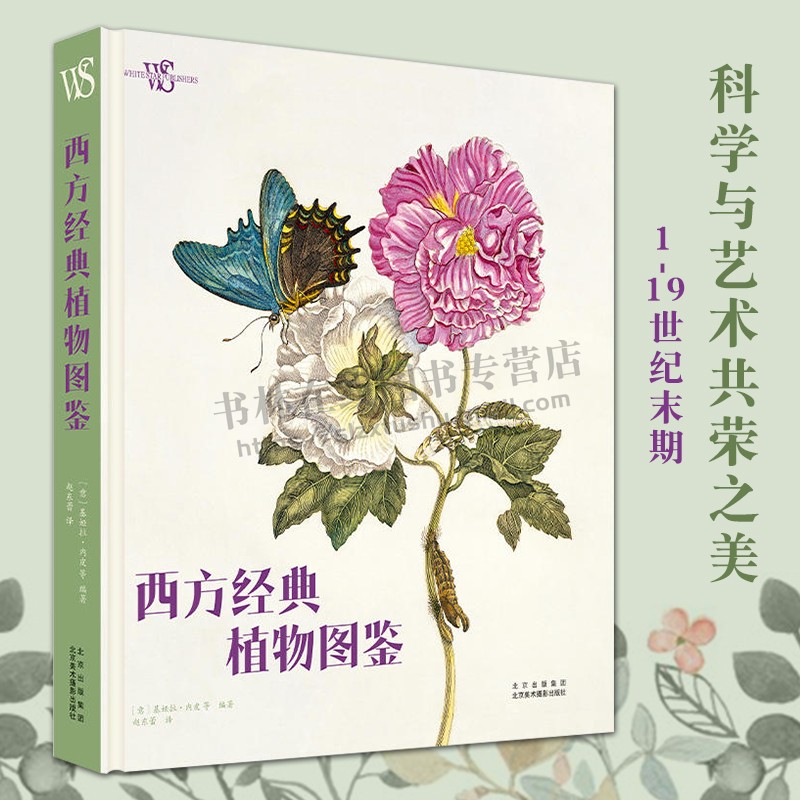 西方经典植物图鉴 科学艺术自然手绘插画绘画发展精选科普历史彩图 赵东蕾 译 北京美术摄影出版社