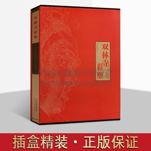 双林寺彩塑 中国寺院佛教道教彩塑雕塑浮雕造像艺术菩萨壁画罗汉群像佛像力士弥勒菩萨帝释释迦牟尼佛祖宗教造型造像书籍 天津人美