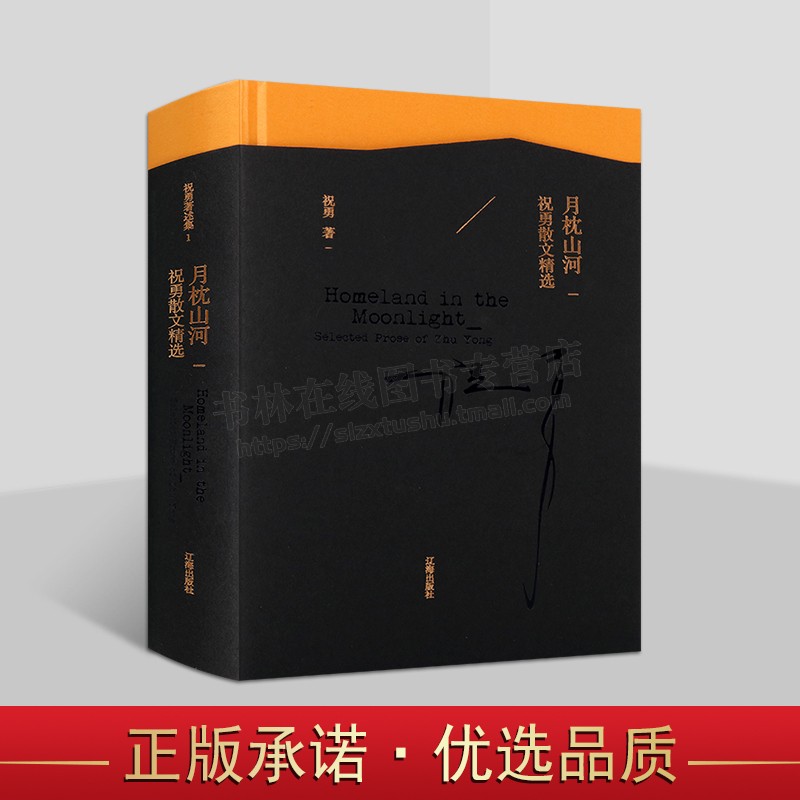 月枕山河(祝勇散文精选)(精) 祝勇创作散文 历史人物、诗词、书画、故宫中写作 文学散文集 辽海出版社