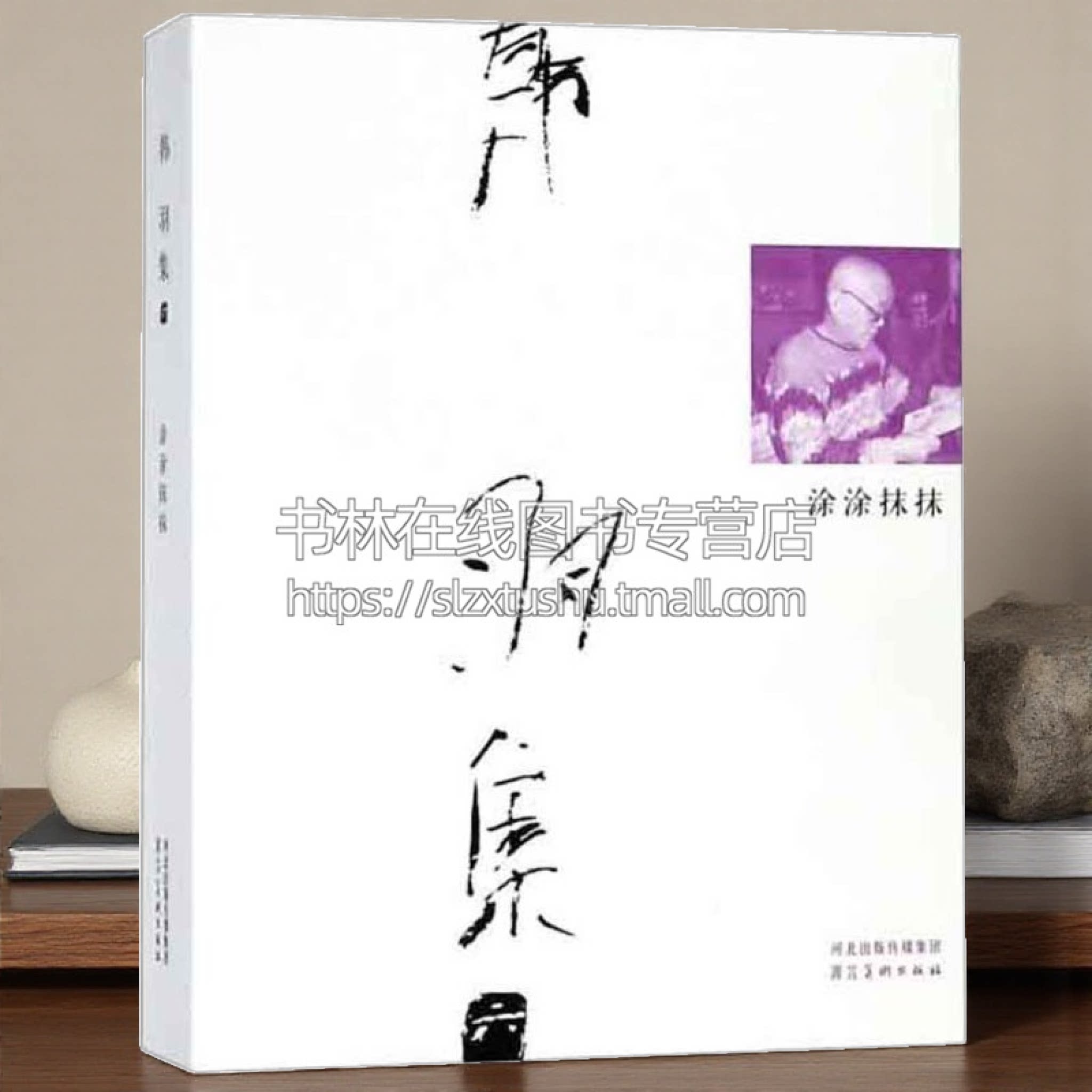韩羽集 涂涂抹抹  绘画艺术文化书籍红楼梦人物戏曲人物戏画小品插图插图书法 名家画集 经典作品 全新正版畅销 河北美术出版社