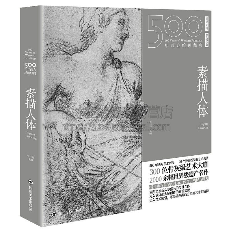 500年西方绘画经典 素描人体西方绘画艺术的纸上美术馆 张佳音著西方绘画典藏素描书水彩临摹彩铅画教程典藏画册 四川美术出版社