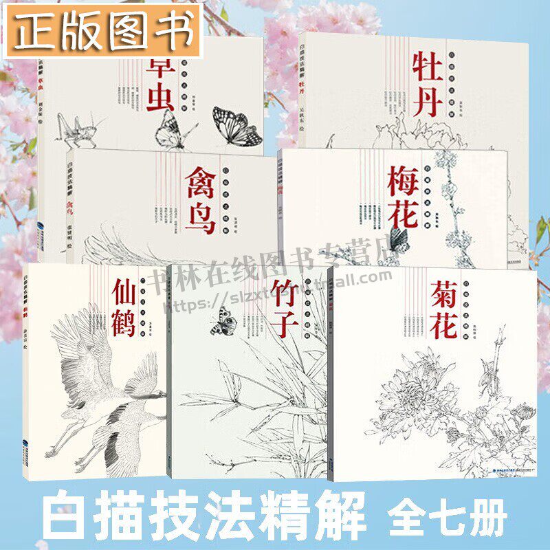 白描技法精解(全7册)牡丹+禽鸟+草虫+仙鹤+梅花+菊花+竹子 美术绘画初学者欣赏本丛书教材 福建美术出版社