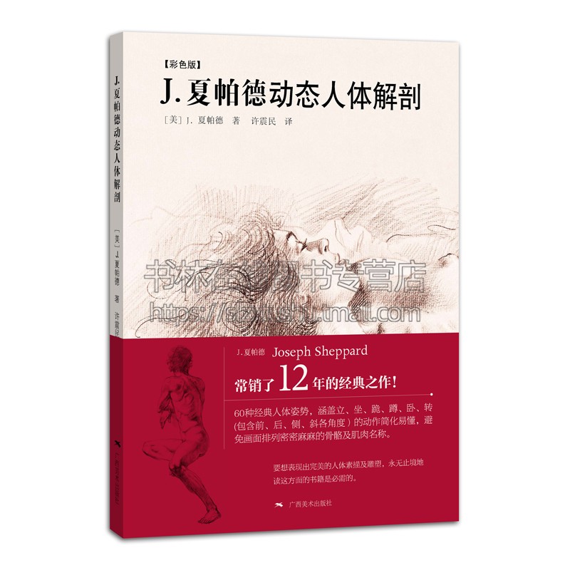 J·夏帕德动态人体解剖（彩色版）人体姿势站立坐跪蹲卧骨骼肌肉图例素描速写临摹雕塑绘画基础教程书籍陕西美术出版社