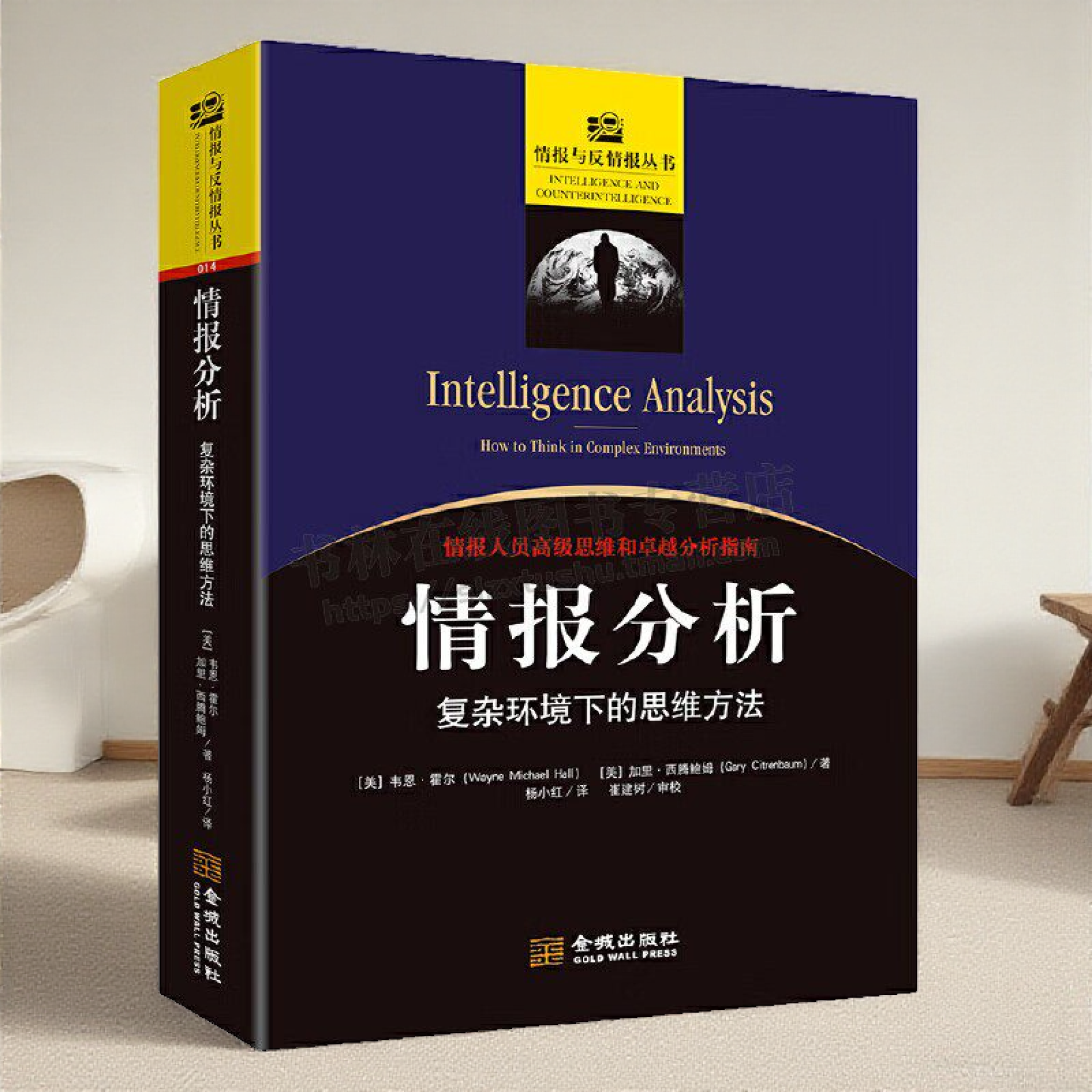 情报分析 复杂环境下的思维方法 情报人员高级思维和卓越分析指南 国际政治军事情报分析学技术研究书籍教程 金城出版社