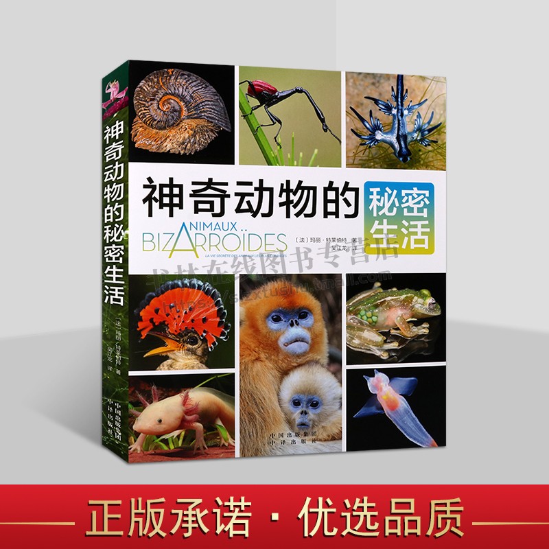 神奇动物的秘密生活 探索地球上神奇动物书籍 自然科学科普知识 儿童青少年海洋陆地动物科普知识书籍 中译出版社