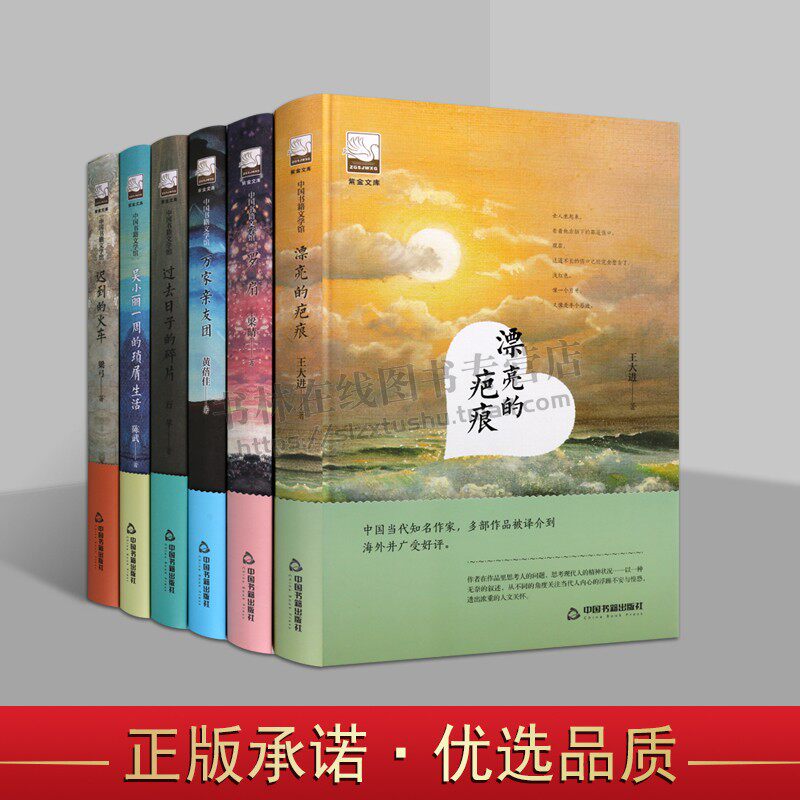 紫金文库系列丛书(套装6册) 文学小说叙事素材品读经典作品诗歌诗词格律诗作中小学生课外读物阅读技巧 中篇小说畅销书 中国书籍