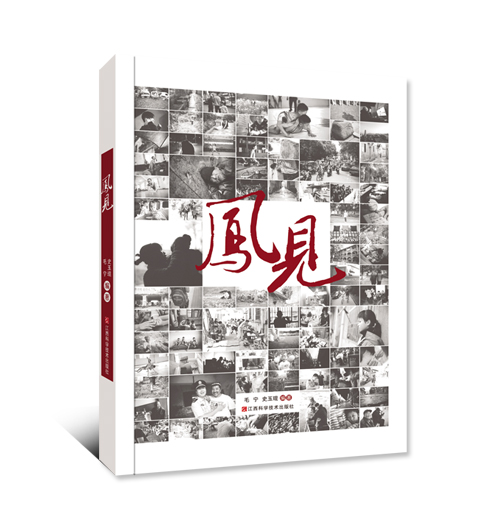 镜头聚焦民众 不回避真实民生 触动人心