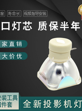 海田适用于SANYO索尼 PLC-XK3010  PLC-XR2600C 投影机灯泡 POA-LM