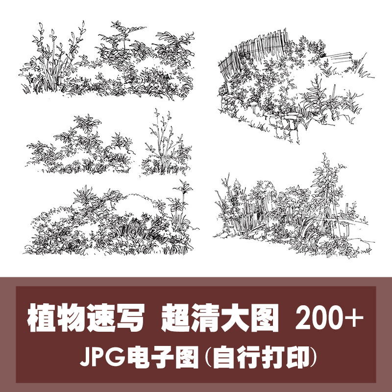 植物风景速写临摹卡教程图片高清电子版环境艺术手绘黑白线描素材