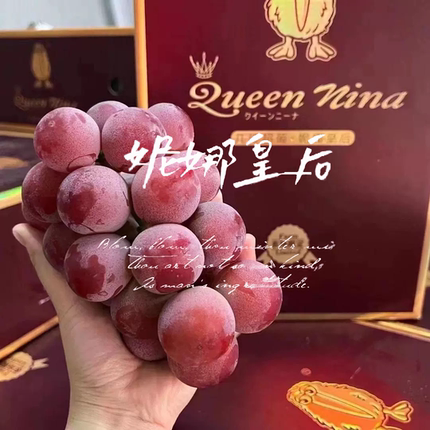 云南大理宾川妮娜皇后葡萄特大级当季新鲜水果公主几维葡萄礼盒装