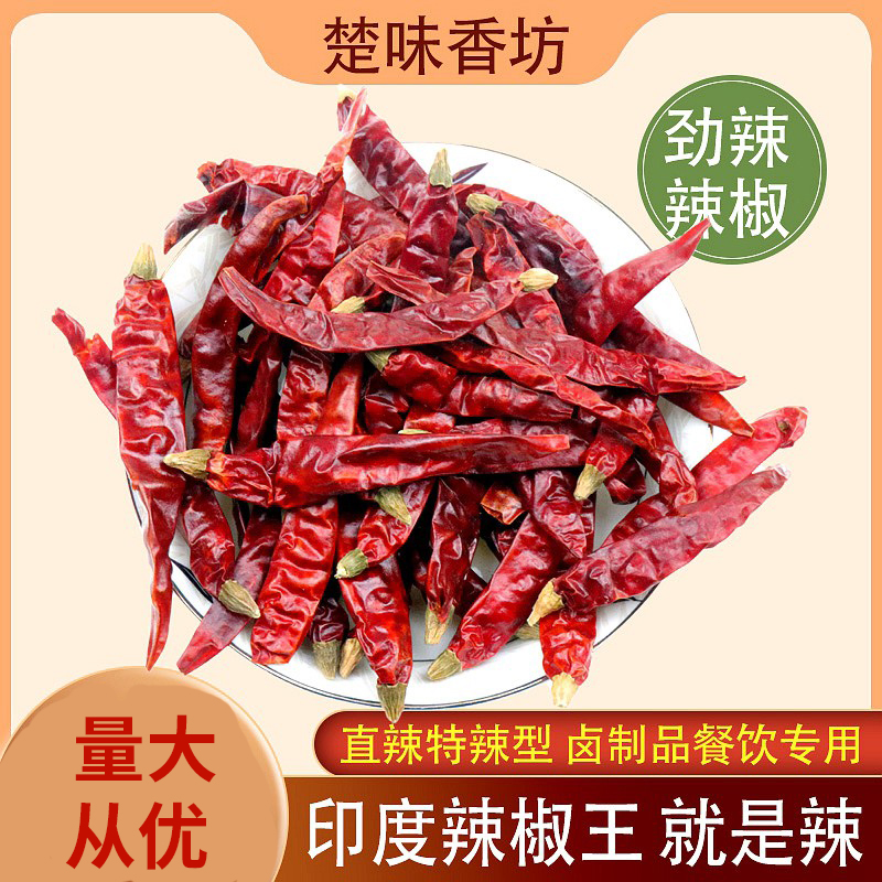 超辣印度辣椒王 特辣干辣椒辣椒王 鸭脖火锅麻辣烫专用辣椒王去把