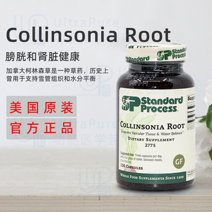 美国正品 Standard Process Collinsonia Root 肾脏健康膀胱150粒