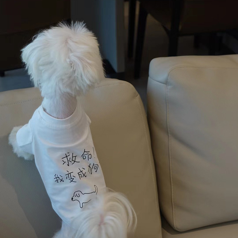 lla独家夏秋搞笑救命狗T恤独家