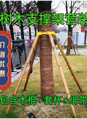 树木支撑杆苗木杉木杨木松木绿化防风三四脚架支撑架固定架套杯