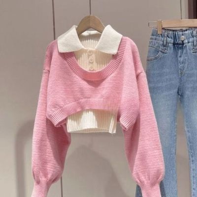 2025春秋新款美式小个子短款毛衣女设计感Polo领针织衫两件套上衣