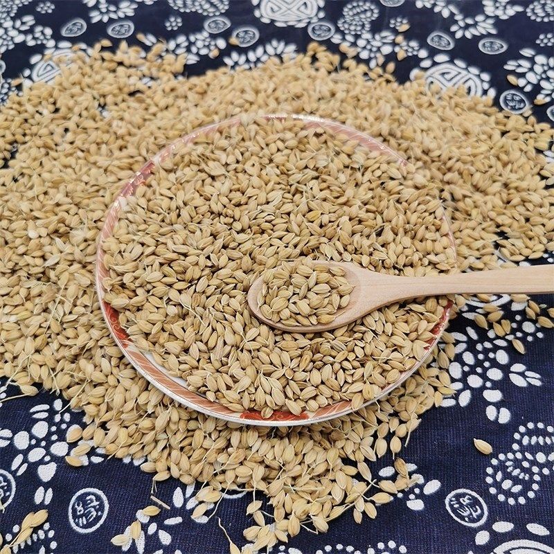 糯谷 糯谷带壳糯米谷糯稻糯米稻谷糯米稻糯米谷带壳500g 5斤包邮