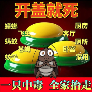 灭蟑螂 蟑螂药全窝端家用非无毒餐厅饭店杀虫小强克星神器厨房正品