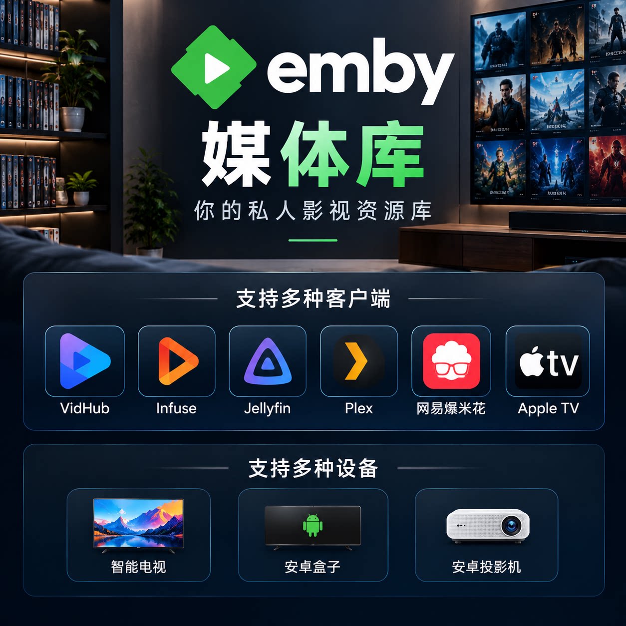 emby库,适用vidhub,爆米花,infuse,安卓盒子,apple tv,精美海报