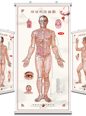 中医养生馆人体经络穴位图大挂图艾灸人体穴位图走势针灸拔罐家用