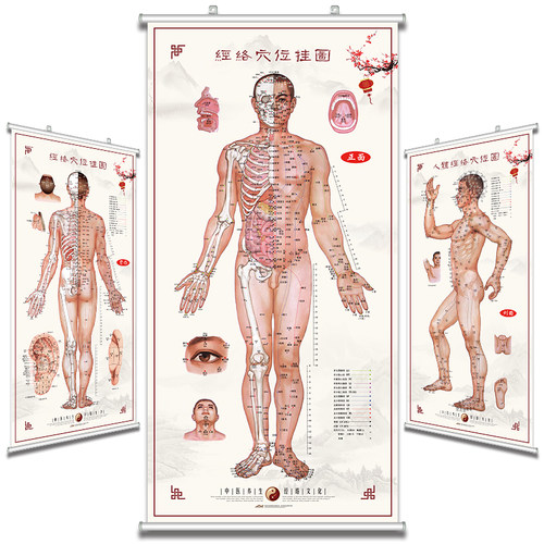 人体经络穴位图养生馆装饰画
