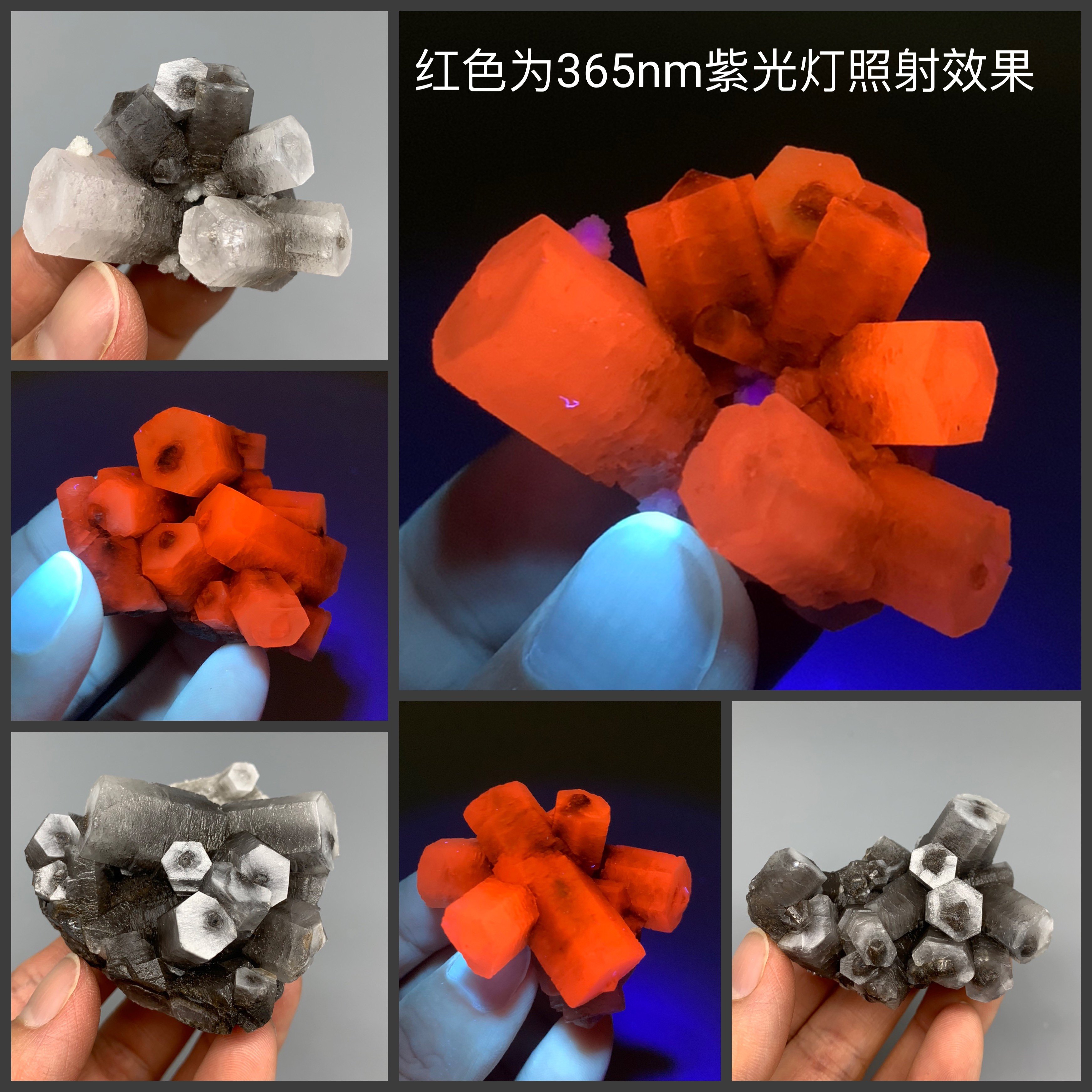 六棱柱熊猫方解石  矿物晶体 矿石标本 原石  教学标本 地质科普,饰品/流行首饰/时尚饰品新,摆件,淘宝优惠券,粉丝福利购,淘宝优惠卷