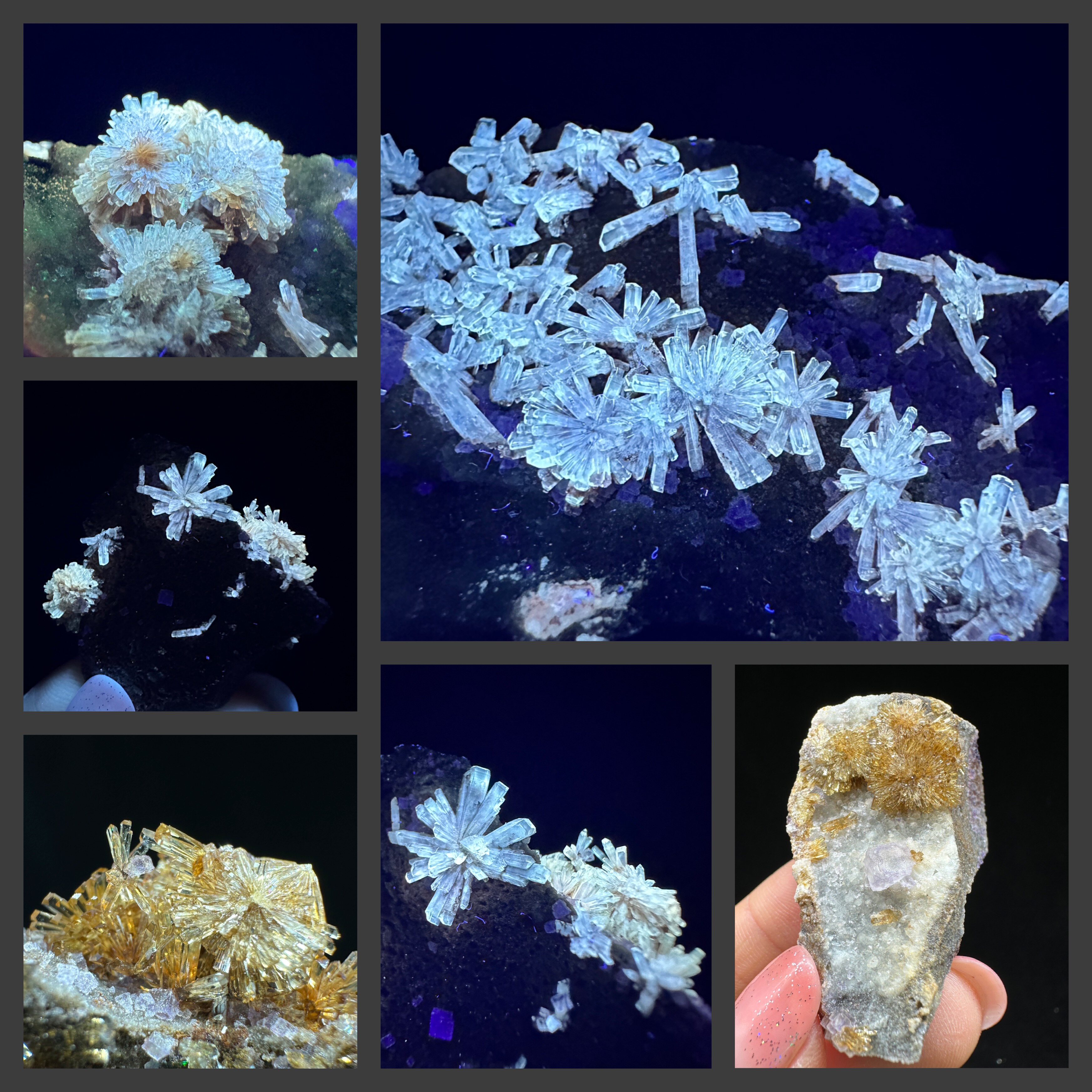 贵州 琥珀色氟铝石膏天然矿物晶体矿石标本原石奇石摆件收藏观赏