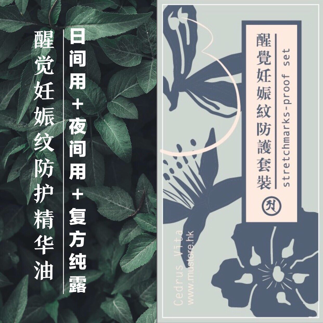 [醒觉生活CedrusVita复方精油]醒觉孕期妊娠纹防护套装精华油按摩油纯月销量3件仅售290元