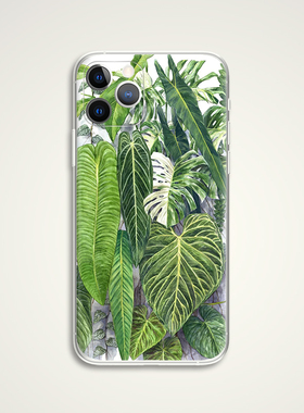 Aaron Apsle 热带植物园绿色小清新插画文艺术生手机壳 F252 适用苹果iphone17PROMAX AIR 华为小米三星