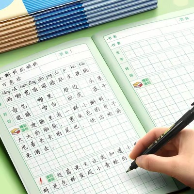 田字格读书笔记好词好句摘抄本