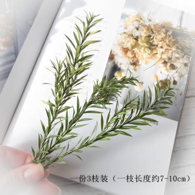永生花千层金干花配草香薰蜡烛圣诞花环藤圈点缀材料Diy居家装饰