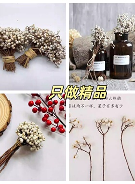秋冬北欧简约小白果乌桕干花材