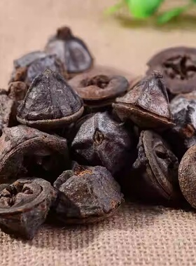 尤加利天然桉树果头DIY配饰花环果实干花森系饰品圣诞装饰十字