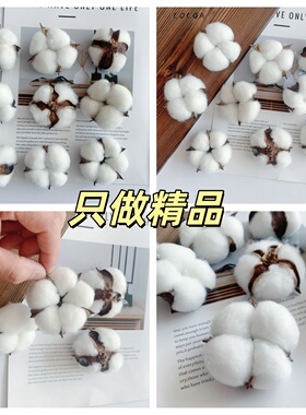 棉花干花标本DIY圣诞材料包