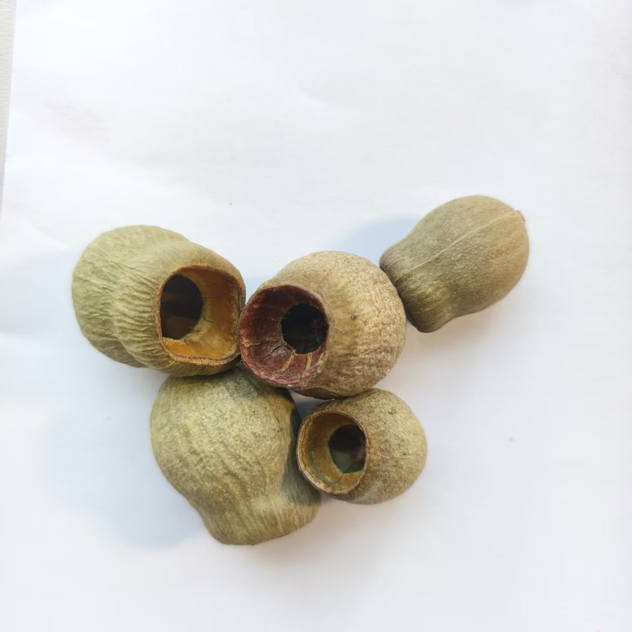 【咕嘟果】天然植物干花干果实森系创意设计花环相框圣诞制作材料