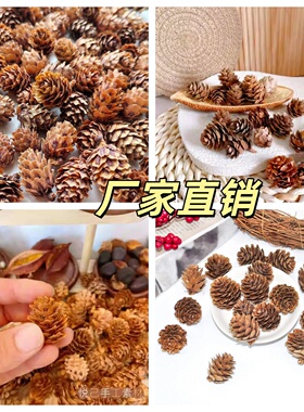 小落叶松柳杉落叶松干花道具
