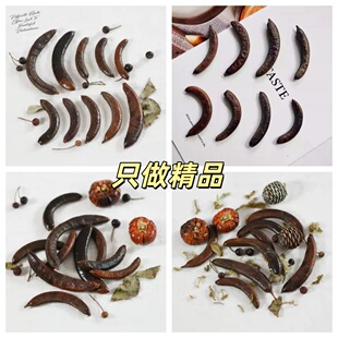 皂荚果 豆荚娃娃配件创意复古干花环相框材料幼儿园手工