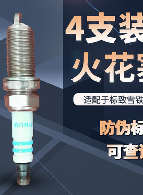 标致206凯旋307/408雪铁龙c5世嘉C2爱丽舍308铂金火花塞FR8NPP30W