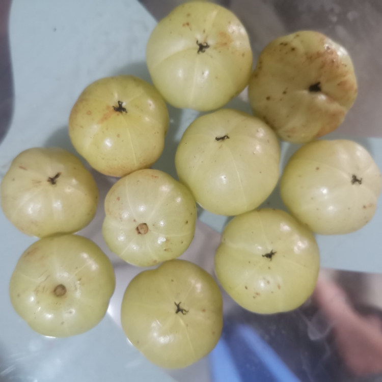 油甘王甜品种油柑果新鲜余甘果孕妇爱吃油甘果新鲜青牛甘果4斤装