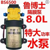 农用电动喷雾器高压水泵大功率12v高压智能型电动喷雾器电机水泵