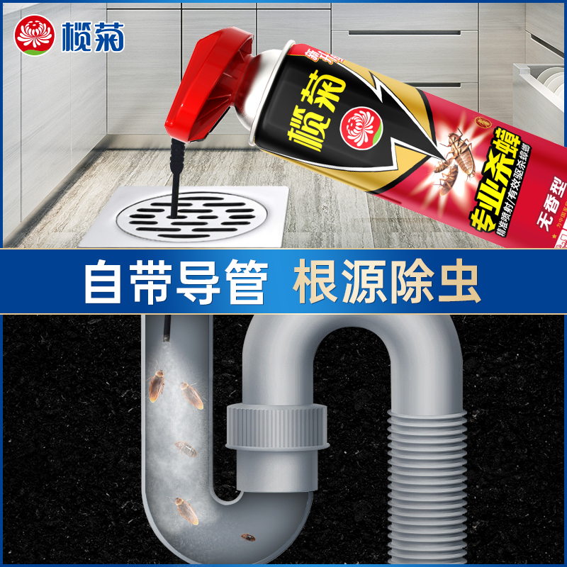 榄菊下水道杀虫剂家用室内蟑螂
