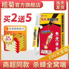 9.9元包邮  榄菊 杀蟑胶饵10g