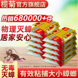 榄菊蟑螂屋贴粘板非蟑螂药家用非无毒全窝端全魔盒捕捉灭消杀除蟑